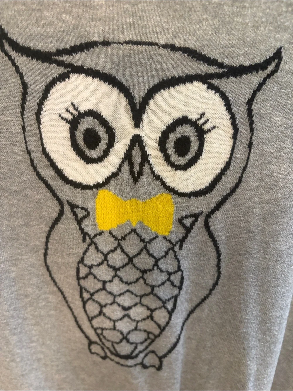 NWOT Old Navy Gray Sweater with Yellow Bow Owl Graphic
